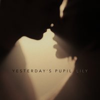 Lily - Yesterday's Pupil