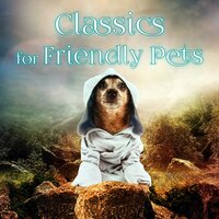 33 Veränderungen über einen Walzer von A. Diabelli Op. 120: XXIX. Adagio ma non troppo - Friendly Pets Music World & Ludwig van Beethoven