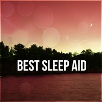 Celtic Meditation - Natural Sleep Aid Ensemble