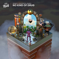 No Kind Of Drug - SDMS & Valencia James