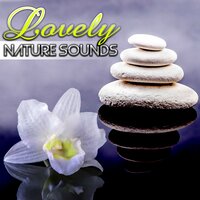 Nature Beauty - Lovely Nature Music Zone