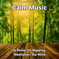 Relaxing Music Pt. 36 - Sleep Music & Relaxing music & Yoga
