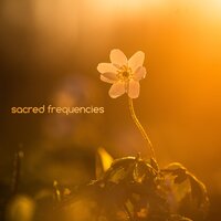 Imaginations - Sacred Solfeggio Frequencies & Deep Sleep Meditation & Solfeggio Frequencies Tones