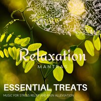 Brain Reflections - Zen Healing Melodies
