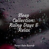 Lake, Water Lapping, Light - Calming Sounds & Water Spa & Relaxing Mindfulness Meditation Relaxation Maestro