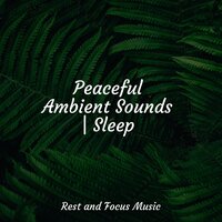 Cool Night Bonfire - Baby Sleep & Sleepy Times & Happy Baby Lullaby Collection