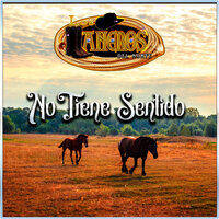El Jarabe Tapatio - LOS LLANEROS DEL NORTE
