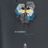 Lesson #26 - Fly District & MXMLN