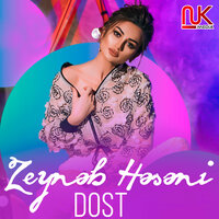 Dost - Zeynəb Həsəni