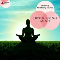 Freedom From Fear - Yogsutra Relaxation Co