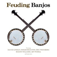 Clinch Mountain Backstop - David Lindley