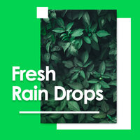 Gentle Rain, Rolling Thunder - Sleep Music