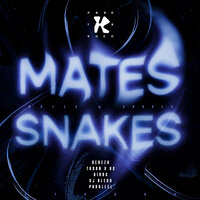 Snake - Parallel