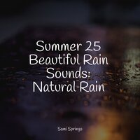 Lakeside, Waves, Lapping, Birds - Deep Sleep FX & Nature Music Pregnancy Academy & Wave Sound Group
