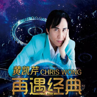 伤尽我心的说话 - Christopher Wong