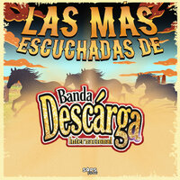 Cantinero, Cantinero - Banda Descarga Internacional