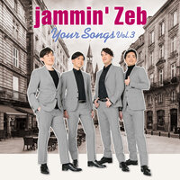 You Do Something To Me - Jammin' Zeb