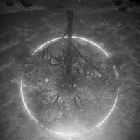 promise of dawn - Momenteum Elise