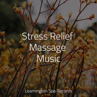 Calm Down - Nature Sounds for Sleep and Relaxation & Sonidos de la Naturaleza Relax & Música para Massagem Especialistas
