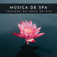 Sonido De Río Sanador - Spa & Masajes Spa & Sonidos De Agua