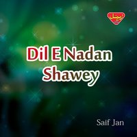 Nouk Ahi De Bhuta - Saif Jan
