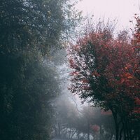 Late Night Rains - Alpha Brain Waves & Nature Sound Collection & Nature Sound Series