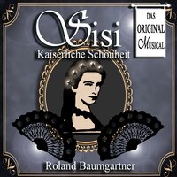Wein'nicht in der Nacht - Vienna Festival Symphony Orchestra & ROLAND BAUMGARTNER