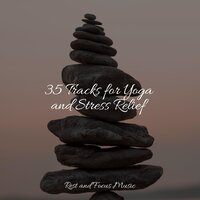 Effortless Enlightenment - Musique Zen Garden & Study Music & Sounds & Sleepy Night Music