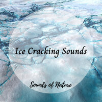 Burning Logs for Cold - Nature Sounds for Sleep and Relaxation & Miracle Tones & Meditative Music