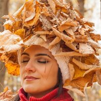 Fall Leaves ASMR, Pt. 9 - Relax Academy ASMR