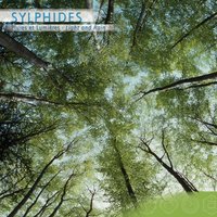 Sylphides, Pluies et Lumières part 5 - GioAri