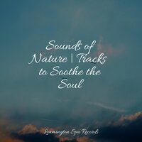 Meditative State of Mind - Meditacao Clube & Sounds Of Nature: Thunderstorm & White Noise Babies
