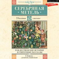 Серебряная метель. Рождественские истории и святочные рассказы. Часть 13 - Иван Букчин & Николай Федорцов & Роман Стабуров & Геннадий Смирнов