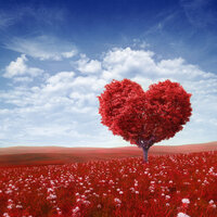 Peace & Mindfulness - Love Song
