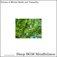 Nurturing the Soul with the Soundscapes of a Serene Evening - Sleep BGM Mindfulness