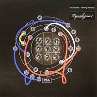 Superperson - Endorphins