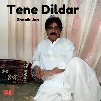 Tene Dildar - Shoaib Jan