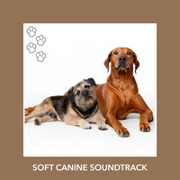Streaming Pup Peace - Dog Chill Out Music