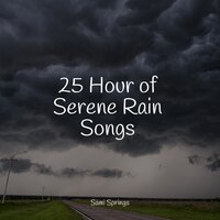 White Noise Rainy Forest - Relaxing Nature Music & Rainfall & Natural Sample Makers
