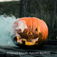 Fire Hypnosis - Cat Music & Sleepy Dogs & Dogs music