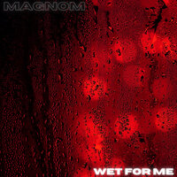 Wet for Me - Magnom
