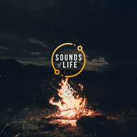 Fire Crackles and Birds, Pt. 7 - Sounds Of Life