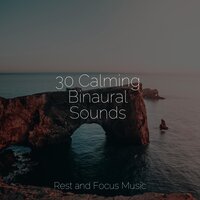 Whale Sounds - Namaste Yoga & Sleep Music & Relaxing Music Therapy