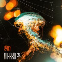 Aspekt - Marko Bsc
