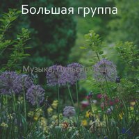 Щеголь - Echos Готовка - Большая группа