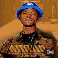 Wemadoda Asisukumeni - Zulugap & Sbusiso & ROGER