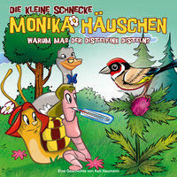 Warum mag der Distelfink Disteln? - Teil 26 - Die kleine Schnecke Monika Häuschen