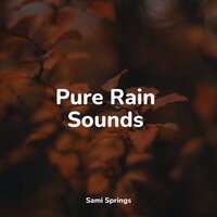 White Noise Rain Drops - White Noise for Baby Sleep & Forest Soundscapes & Sleep Songs with Nature Sounds