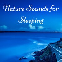 Instrumental Music - Rainforest Music Lullabies Ensemble & Spa Music Relaxation Therapy & Spa Music Relaxation Therapy & Rainforest Music Lullabies Ensemble
