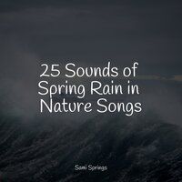 Lofi Rain - Nature Sounds XLE Library & Pet Care Music Therapy & Forest Soundscapes
